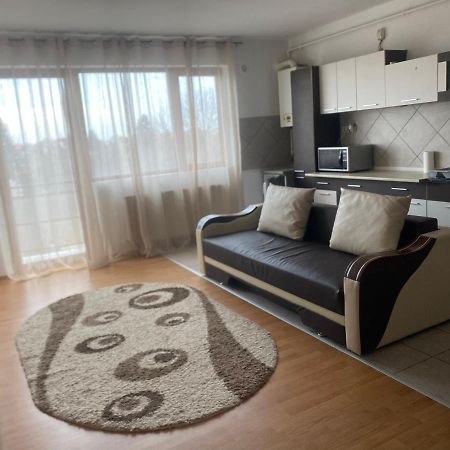 2Br Cosy Apart Сату-Маре Екстер'єр фото