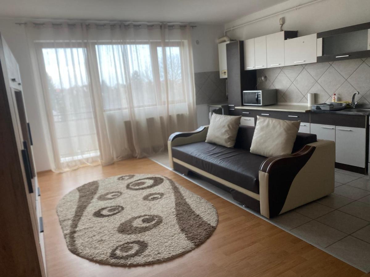 2Br Cosy Apart Сату-Маре Екстер'єр фото