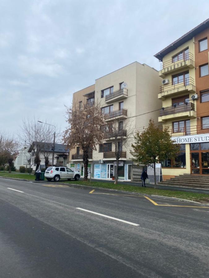 2Br Cosy Apart Сату-Маре Екстер'єр фото
